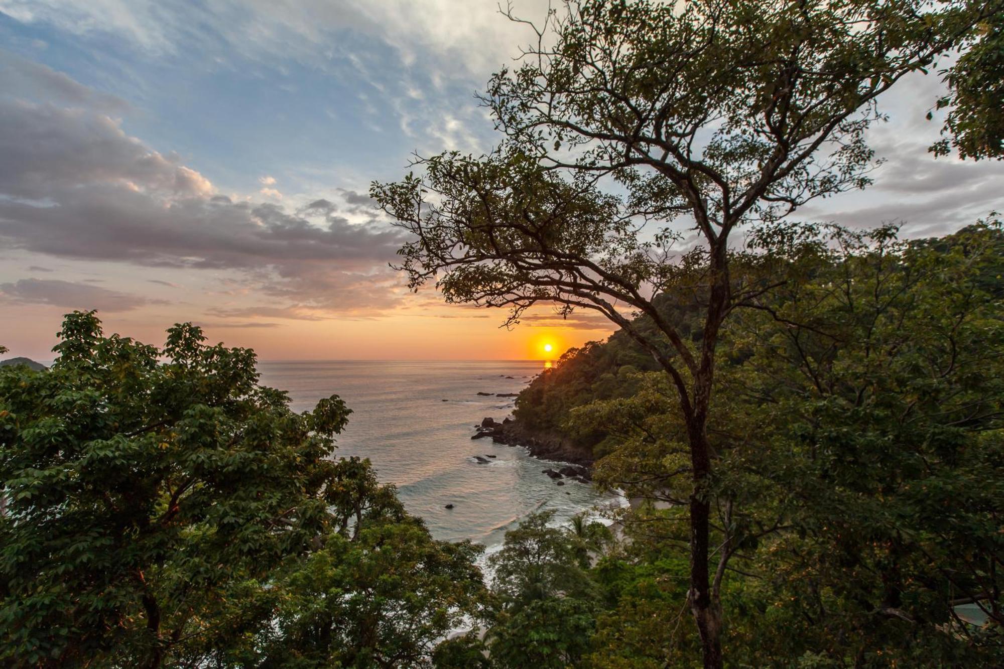 Arenas Del Mar Beachfront & Rainforest Resort Member Of The Cayuga Collection Мануэль-Антонио Экстерьер фото