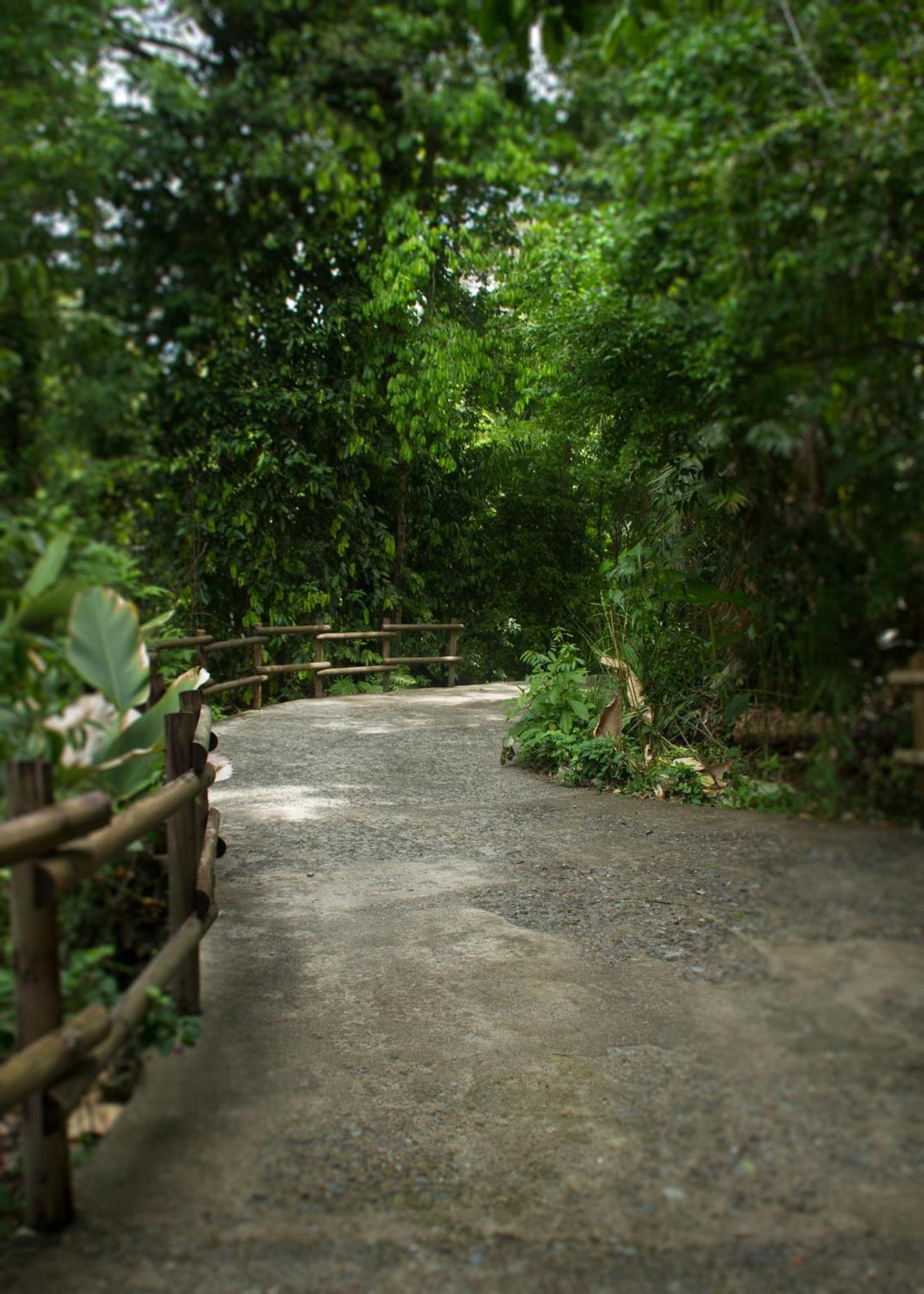 Arenas Del Mar Beachfront & Rainforest Resort Member Of The Cayuga Collection Мануэль-Антонио Экстерьер фото