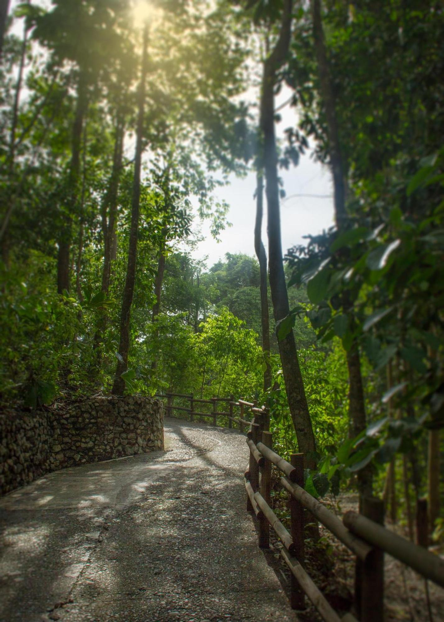 Arenas Del Mar Beachfront & Rainforest Resort Member Of The Cayuga Collection Мануэль-Антонио Экстерьер фото
