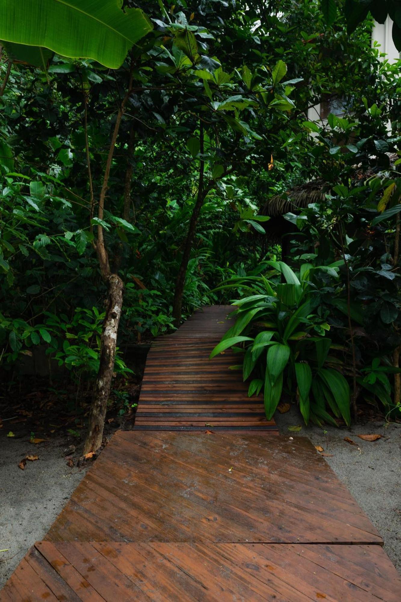 Arenas Del Mar Beachfront & Rainforest Resort Member Of The Cayuga Collection Мануэль-Антонио Экстерьер фото