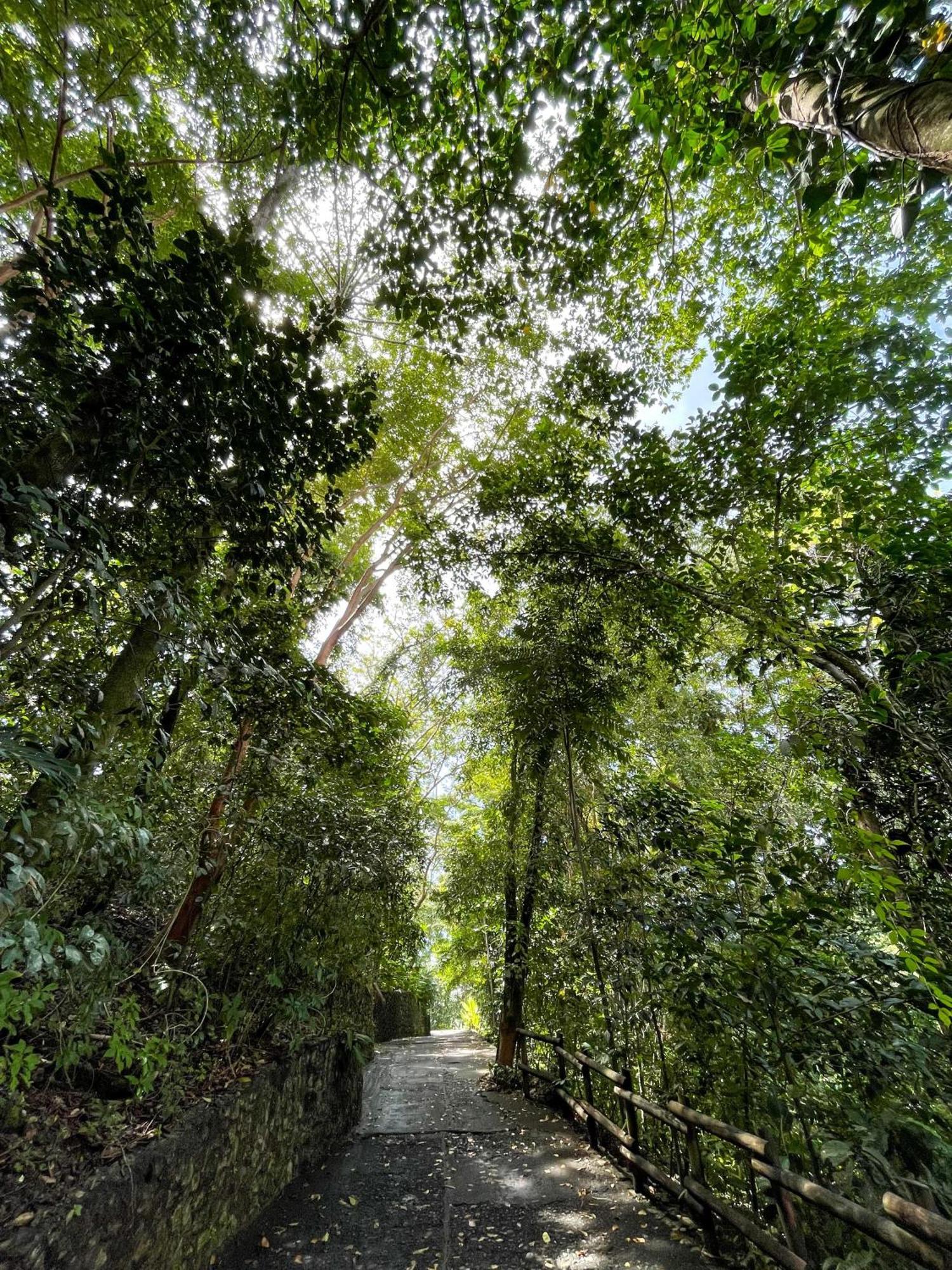 Arenas Del Mar Beachfront & Rainforest Resort Member Of The Cayuga Collection Мануэль-Антонио Экстерьер фото